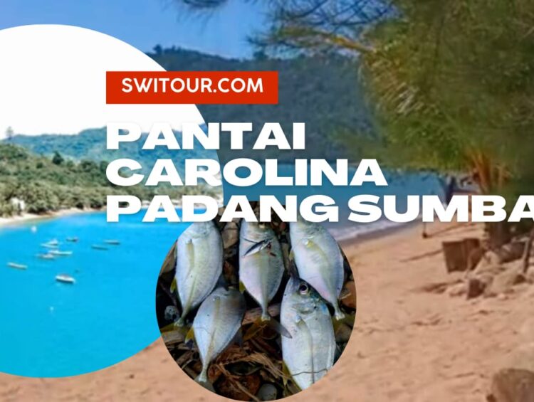 pantai carolina